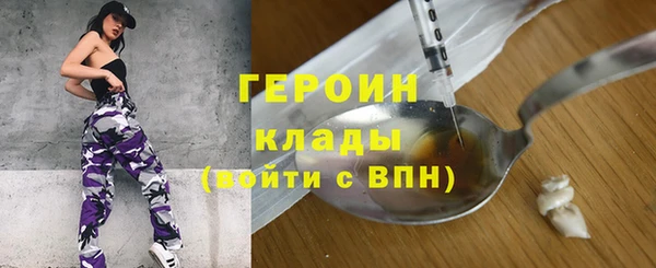 молекула духа Вяземский