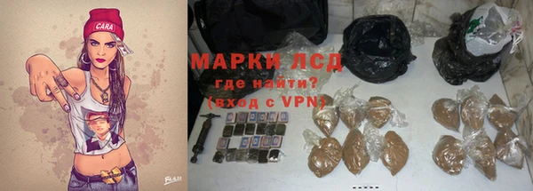 молекула духа Вяземский