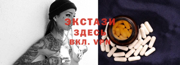 молекула духа Вяземский