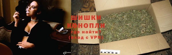 молекула духа Вяземский