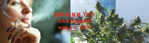 молекула духа Вяземский