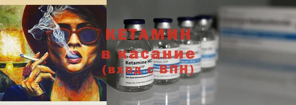молекула духа Вяземский