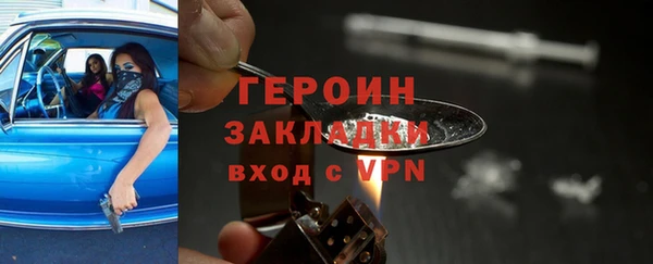 молекула духа Вяземский