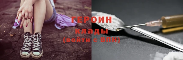 молекула духа Вяземский