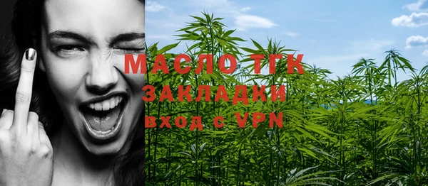молекула духа Вяземский