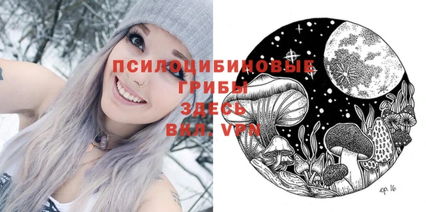 молекула духа Вяземский