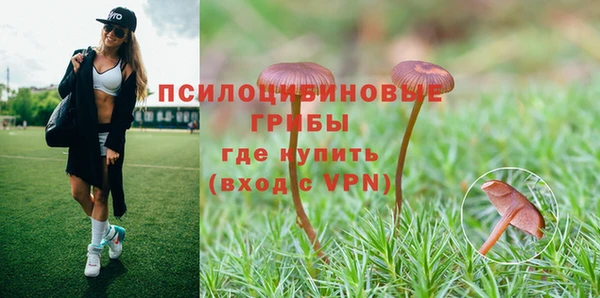 молекула духа Вяземский
