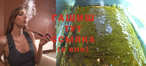 молекула духа Вяземский