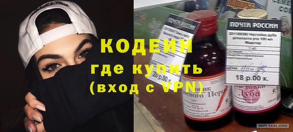молекула духа Вяземский