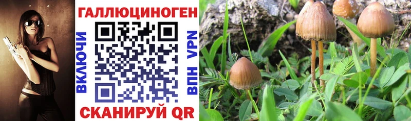 blacksprut ONION  Дыгулыбгей  Галлюциногенные грибы мухоморы 